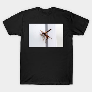 Wasp T-Shirt